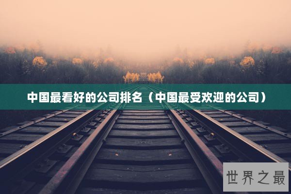 中國(guó)最看好的公司排名 管理的藝術(shù)與市場(chǎng)的認(rèn)可