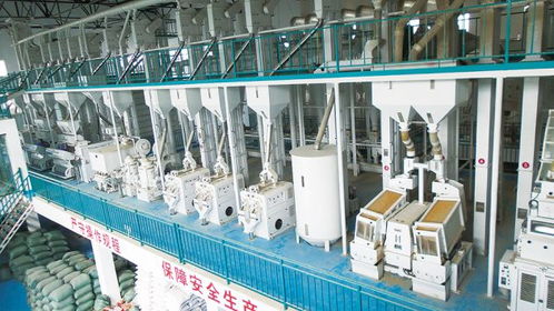 保山市農(nóng)產(chǎn)品加工業(yè)邁上高質(zhì)量發(fā)展新臺(tái)階