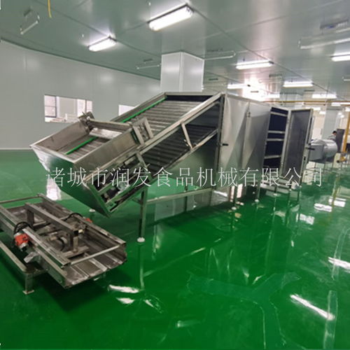 專業(yè)制造，全程服務(wù)——諸城潤發(fā)食品機(jī)械為您打造高效荷葉茶成套加工設(shè)備