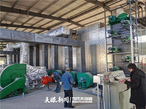 施秉 萬畝魔芋產(chǎn)業(yè)升級(jí)，深加工與紡紗雙輪驅(qū)動(dòng)